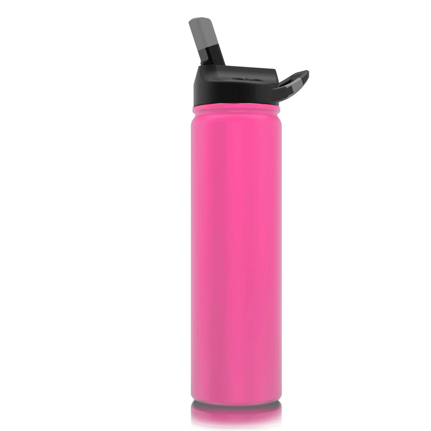 SIC 27 oz Stainless Steel Bottle with Carabiner Lid - Perfect Etch