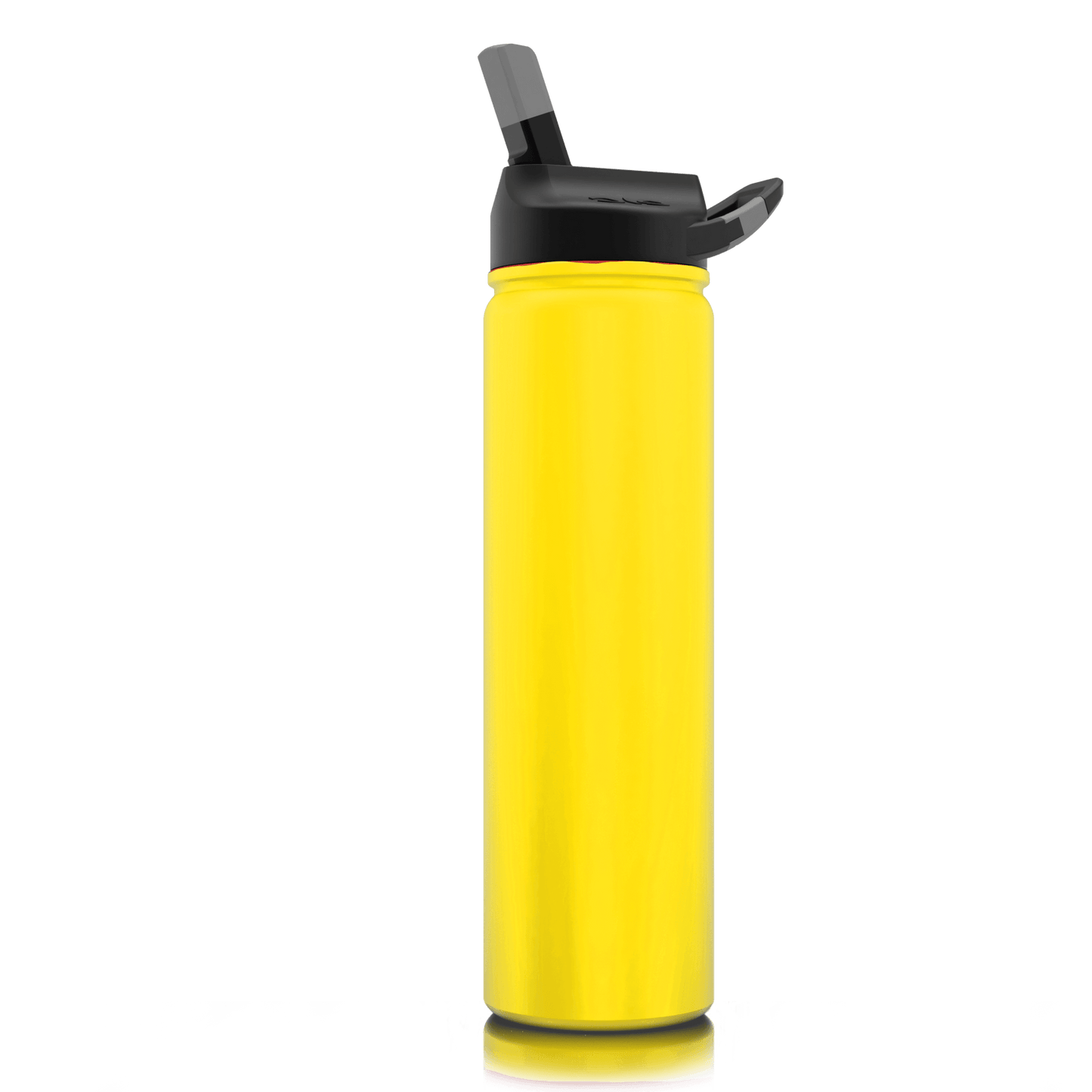 SIC 27 oz Stainless Steel Bottle with Carabiner Lid - Perfect Etch