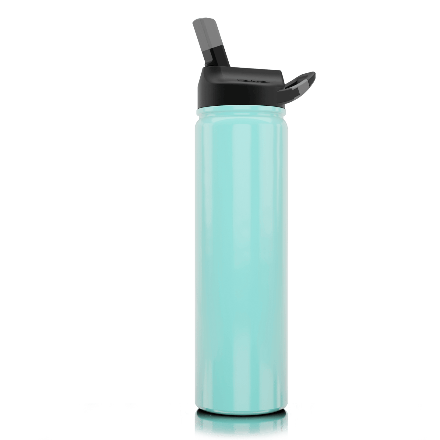 SIC 27 oz Stainless Steel Bottle with Carabiner Lid - Perfect Etch