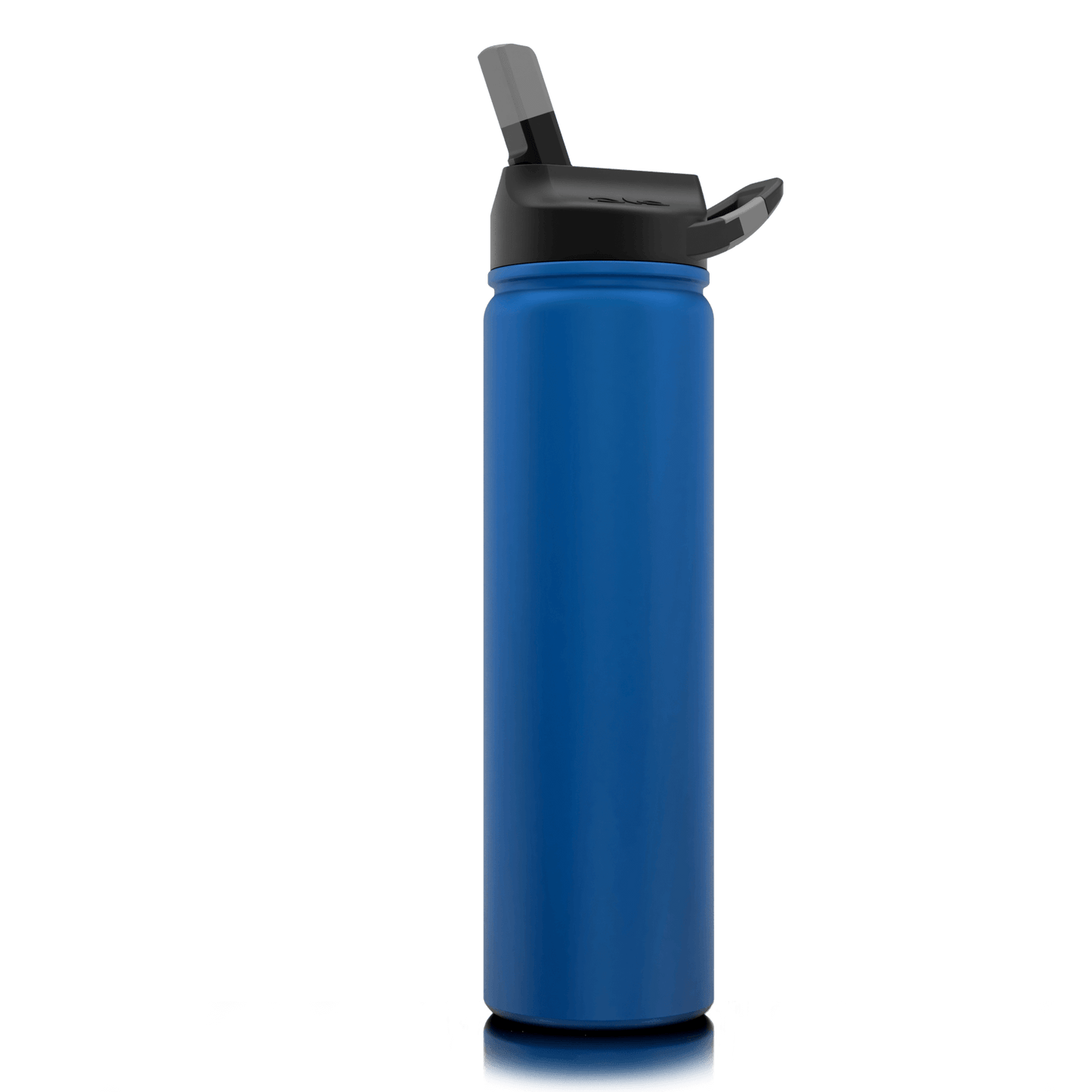 SIC 27 oz Stainless Steel Bottle with Carabiner Lid - Perfect Etch