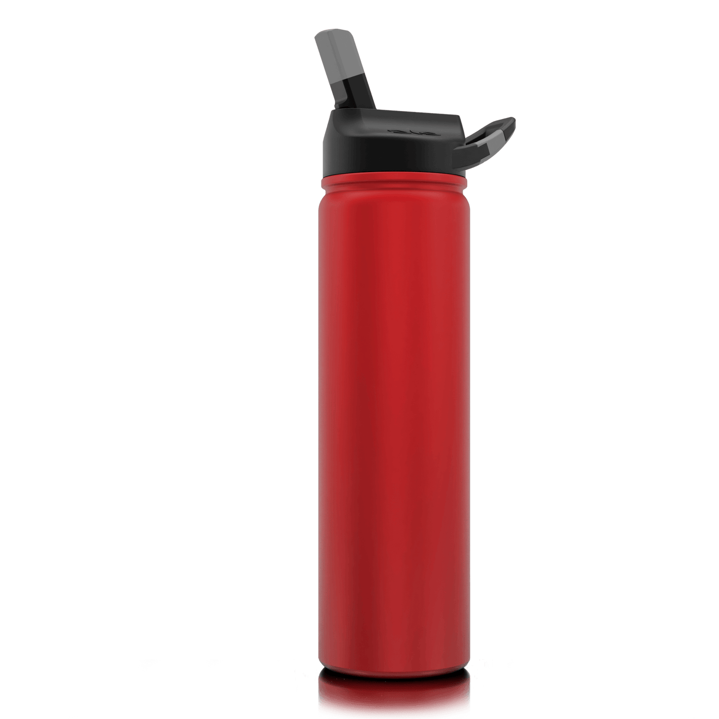 SIC 27 oz Stainless Steel Bottle with Carabiner Lid - Perfect Etch